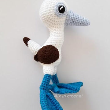 Sully the blue footed booby bird