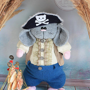 Pirate Cat