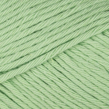 Lettuce (081)