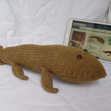Tiktaalik Mr. T
