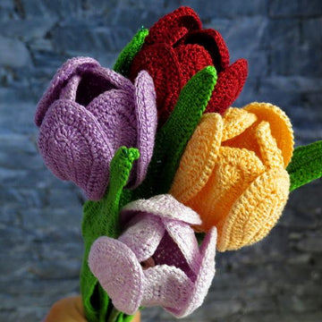 Tulip flower long stem