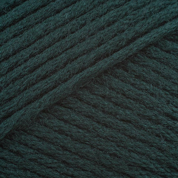 Spruce (9762)