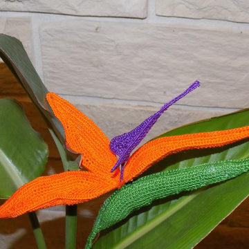 Strelitzia (Bird of Paradise)