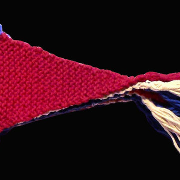 Grand Old Bunting