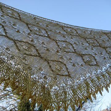 Shawl Rainforest Liana