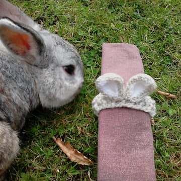 Easter Bunny Ears Napkin Rings