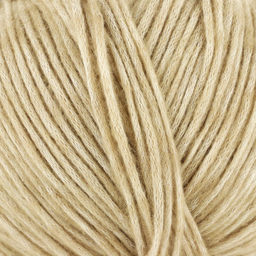 Biscotti (5003)