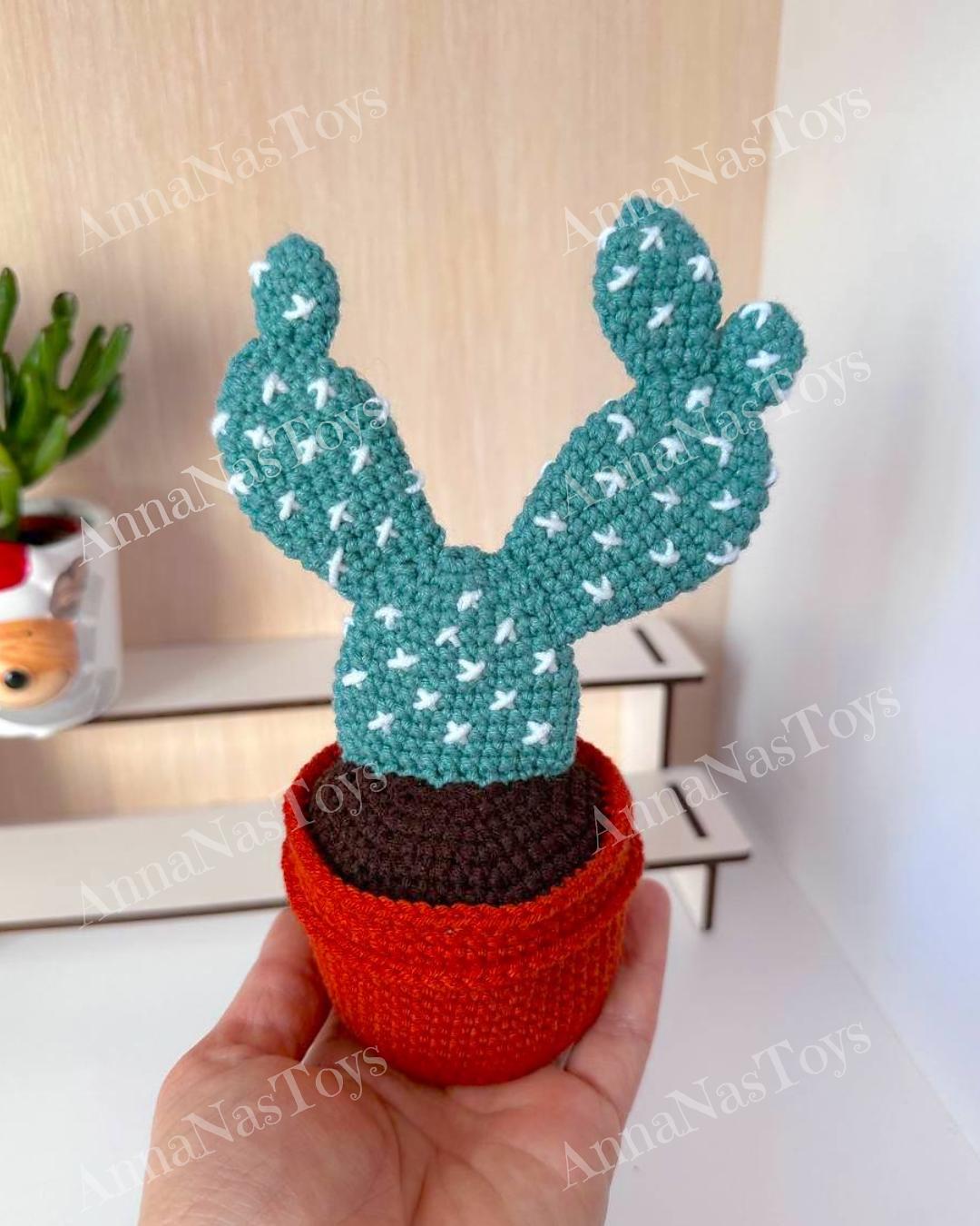 Cactus Opuntia
