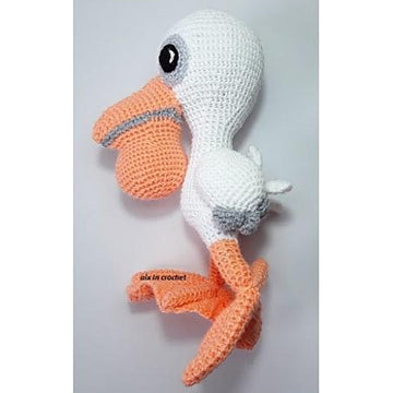 Remy the pelican