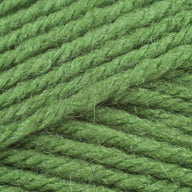 Fern (171)