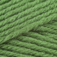 Fern (171)