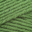 Fern (171)