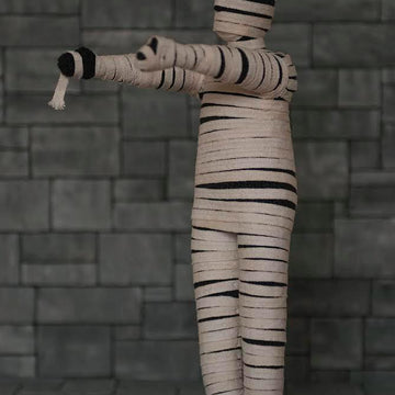 Egyptian Mummy