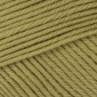 Leek Green (94)