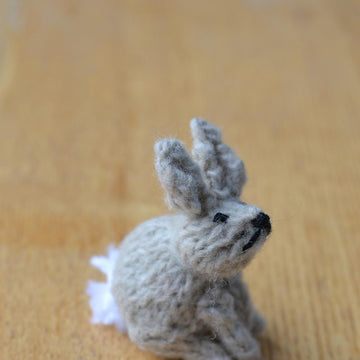 Easter Bunny Rabbit