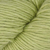 Lime (29)