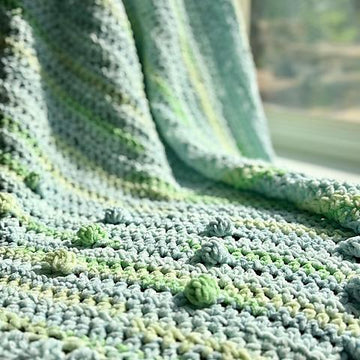 Lil Sprout Baby Blanket