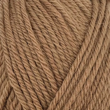 Mocha (1064)