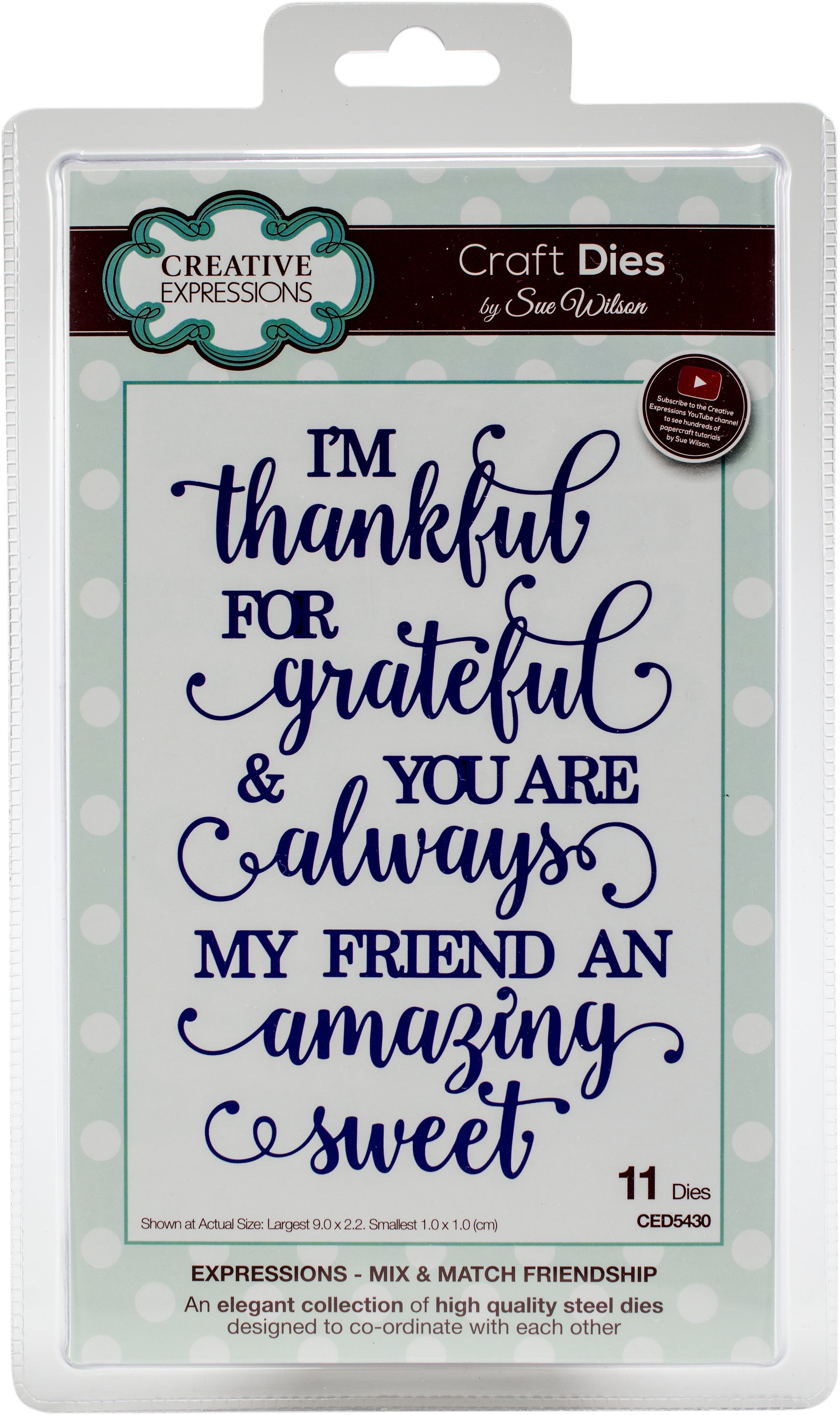 Creative Expressions Craft Dies By Sue Wilson - Expressions-Mix & Match Friendship