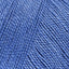 Periwinkle (31)