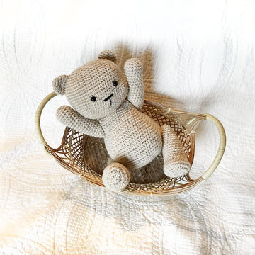 Classic Teddy Bear