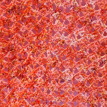 Women’s Sock Yarn Top