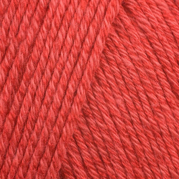 Rose (104)