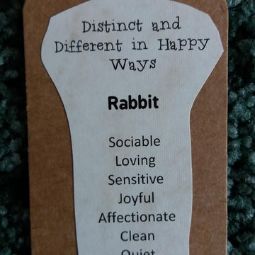Bunny rabbit