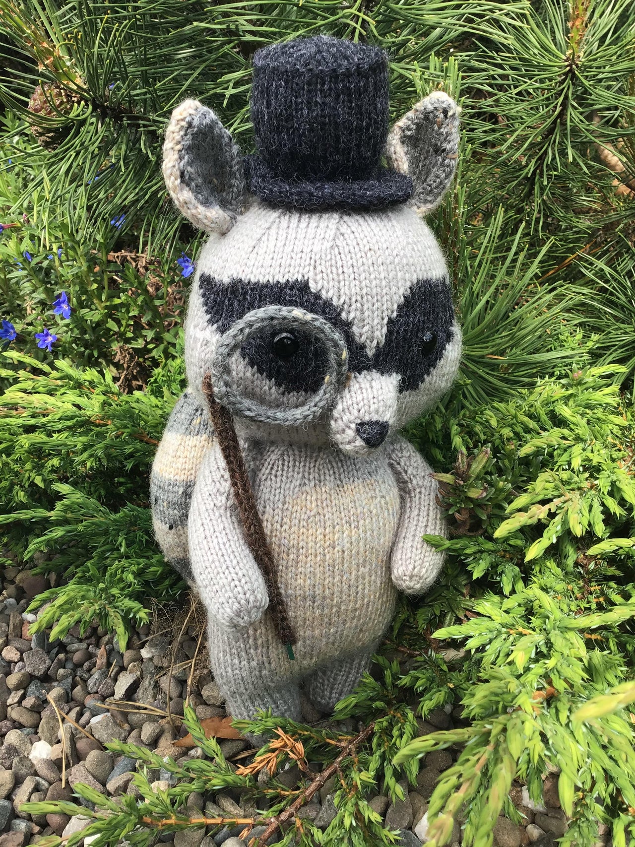 Ralph Raccoon