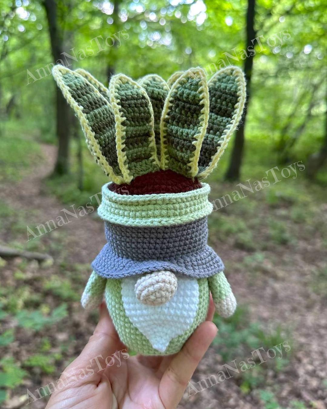 Gnome succulent Sansevieria-4