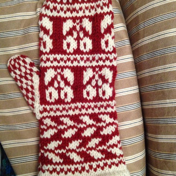 Pop of Cherries Mitts