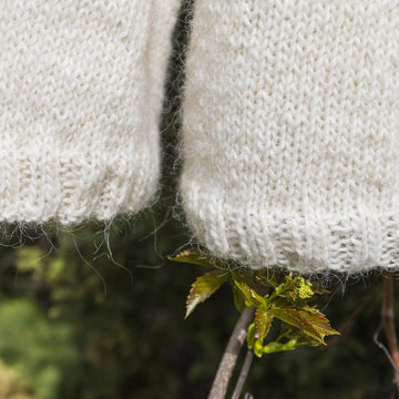 SQUIRREL Icelandic Lopapeysa Sweater for Adults and Kids