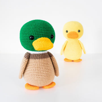 Phoenix the Lovely Duck