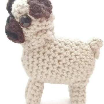 Portia Pug
