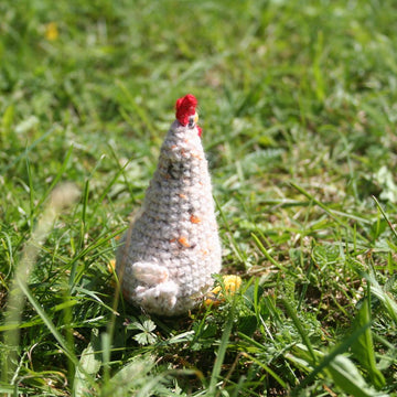 Hühnchen, 3 verschiedene Hühner