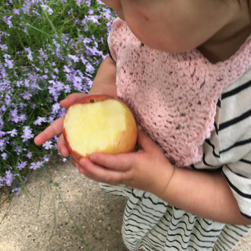 Apple Blossom Bib