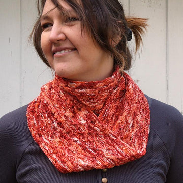 Roller Coaster Cowl