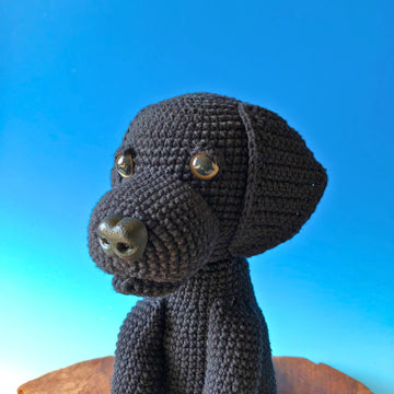 Labrador sitzend