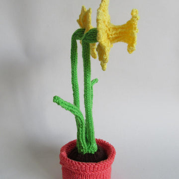 Daffodils in a Pot Chocolate Orange Cover Cozy
