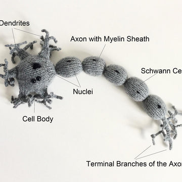 Amigurumi Neuron