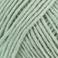 Mint (20)