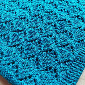 Brody's Blanket
