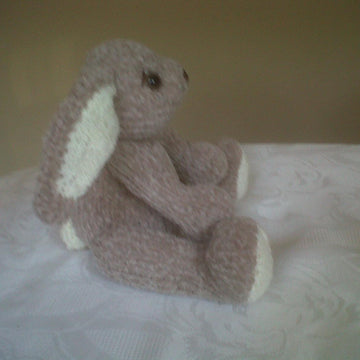Pocket Bunny