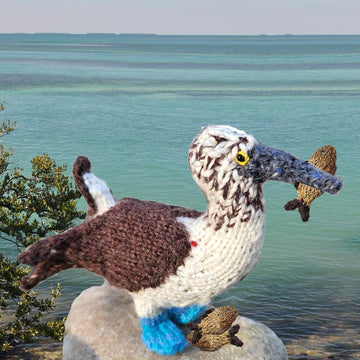 Seabirds