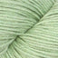Sage (8489)