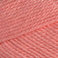 Light Coral (264)
