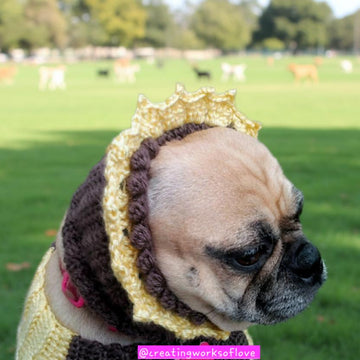 Sunflower Dog Sweater Costume