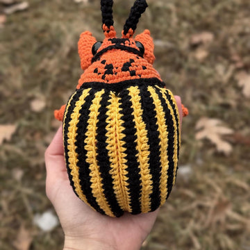 Colorado Beetle