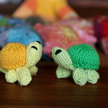 Mini-Turtle