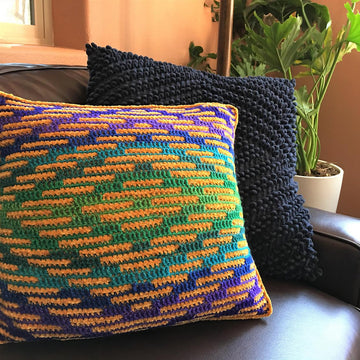Cactus Garden Pillow set
